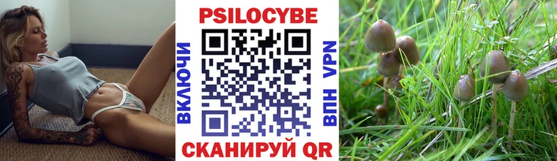 наркошоп  Искитим  Галлюциногенные грибы ЛСД 